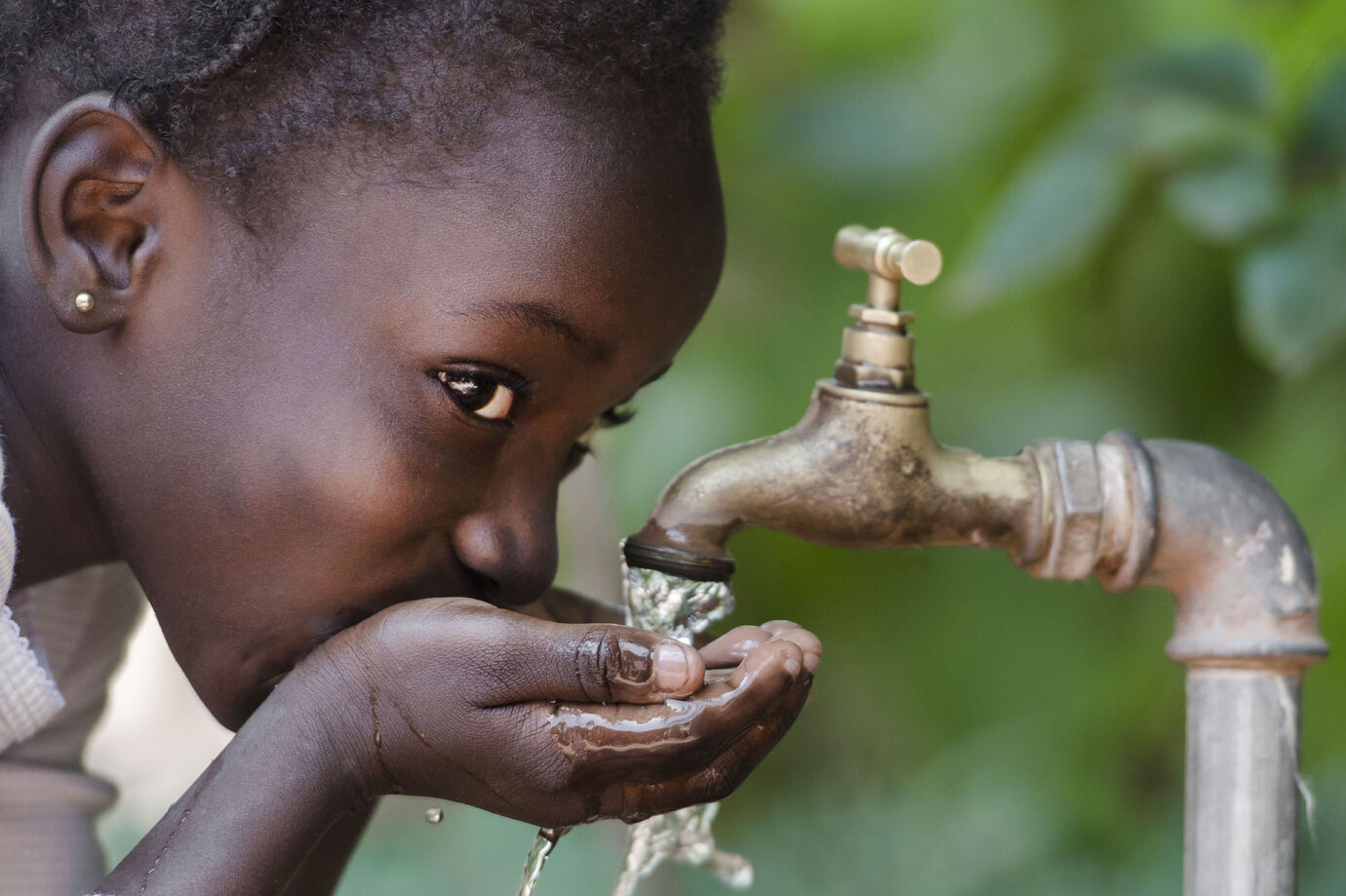 Eight Nations Pledge To Eradicate Guinea Worm Disease